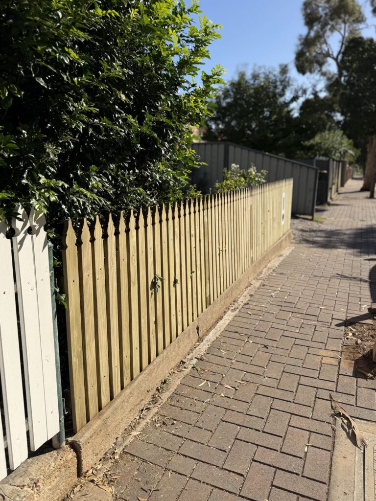 insurance (1)